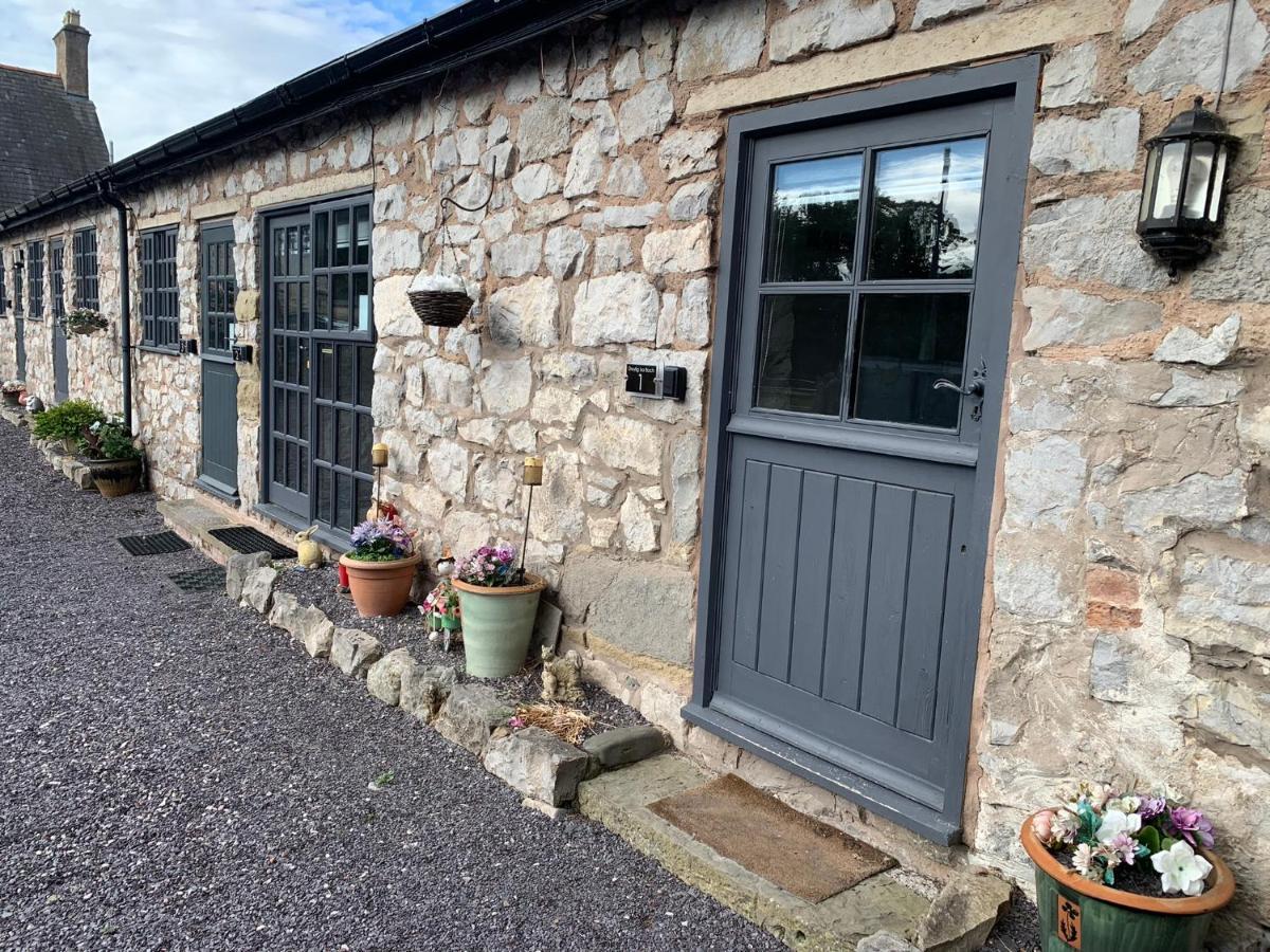 Dwylig Isa Holiday Cottages 라들런 외부 사진